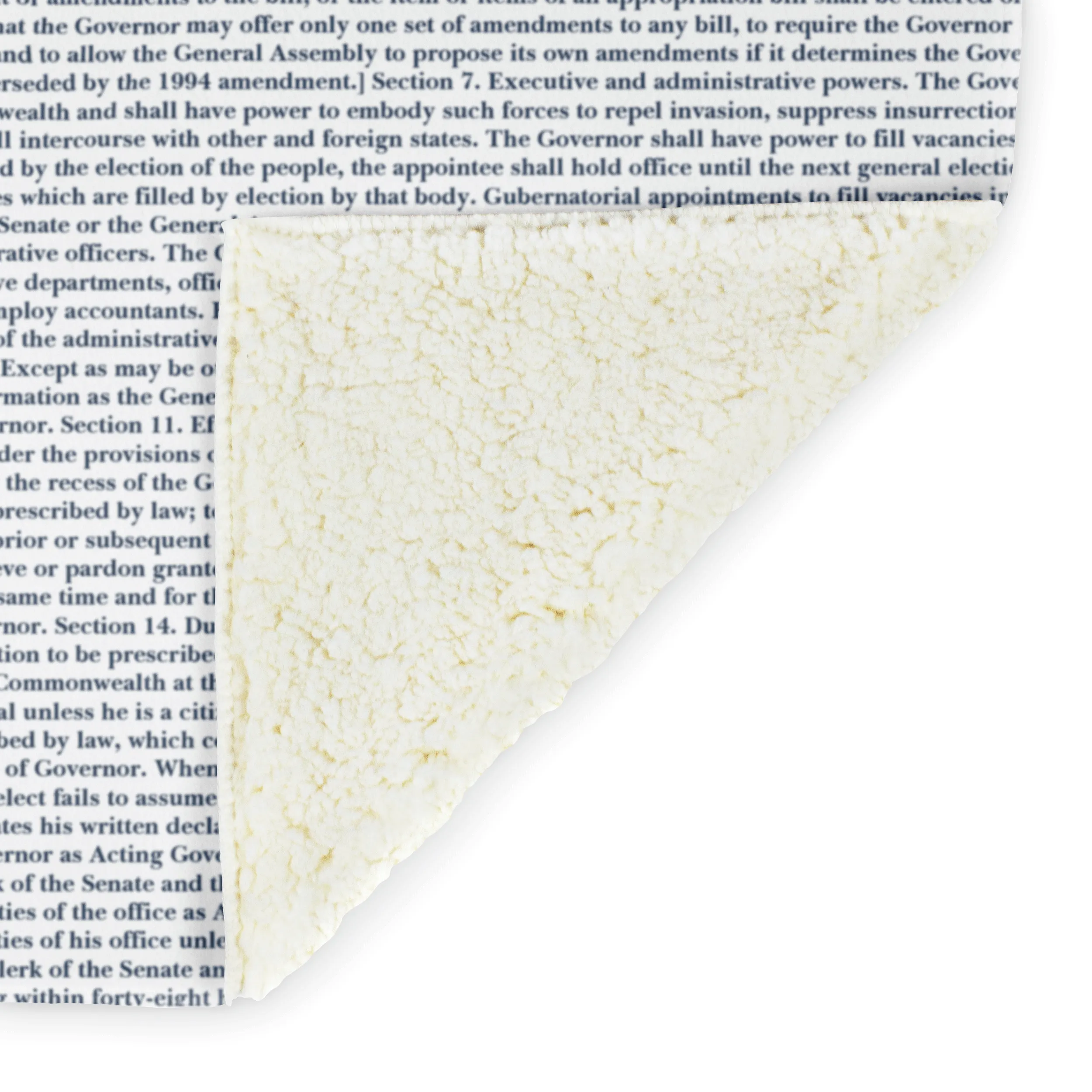 Virginia's Constitution